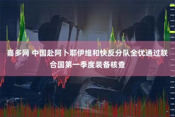 嘉多网 中国赴阿卜耶伊维和快反分队全优通过联合国第一季度装备核查