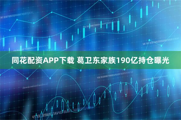 同花配资APP下载 葛卫东家族190亿持仓曝光
