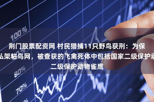 荆门股票配资网 村民猎捕11只野鸟获刑：为保护庄稼私架粘鸟网，被查获的飞禽死体中包括国家二级保护动物雀鹰