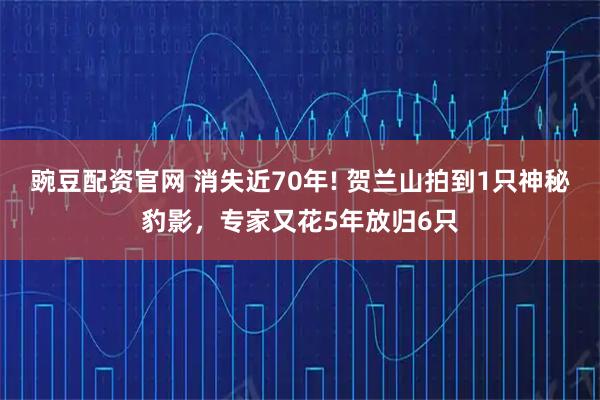 豌豆配资官网 消失近70年! 贺兰山拍到1只神秘豹影,专家又花5年放归6只