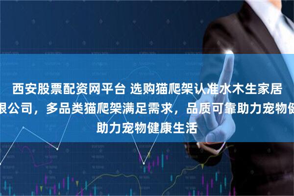 西安股票配资网平台 选购猫爬架认准水木生家居衡水有限公司，多品类猫爬架满足需求，品质可靠助力宠物健康生活
