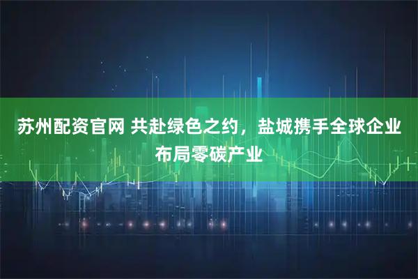 苏州配资官网 共赴绿色之约，盐城携手全球企业布局零碳产业