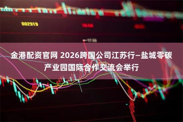 金港配资官网 2026跨国公司江苏行—盐城零碳产业园国际合作交流会举行